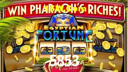 VIP Bronze Benefits
